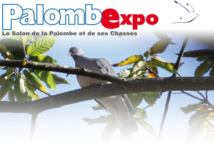 palombexpo 2016