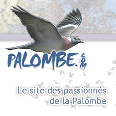 (c) Palombe.com
