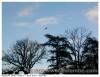 Cigogne