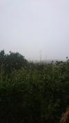 Brouillard