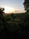 Cabane