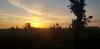 Levé du soleil