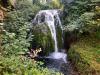 Cascade