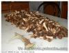 MORILLES