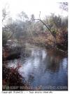 Le ruisseau