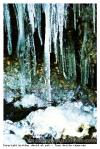 Glace