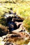 les sources