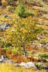 belle couleurs
