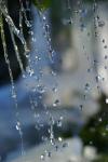 l'eau
