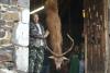 plan de chasse