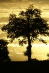 paysage