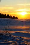 hiver