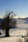 paysage
