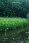 peche