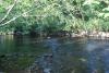 peche
