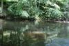 peche