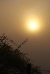 soleil vs brouillard