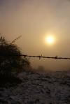 soliel vs brouillard vs neige loll