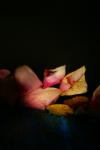 art floral