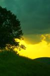 paysage