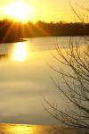 paysage