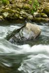 les eaux
