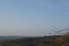 palombes 10 mars
