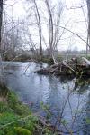 peche