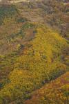 automne