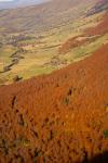 automne