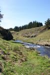 cantal