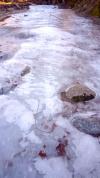 Glace