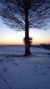 Hiver