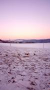 Hiver