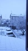 Belle hiver