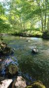 peche