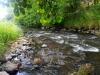 petite riviere