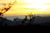 paysage