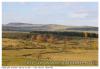 Paysage