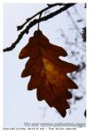 L'automne