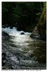 Riviere