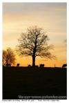 Paysage