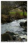 Riviere