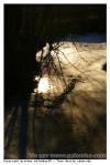 Glace