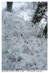 Hiver
