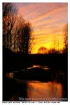 Paysage