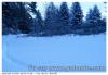 Neige