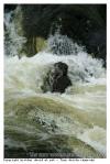 L'eau