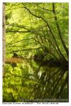 Paysage