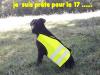 il faut faire suivre